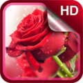 Red Roses Live Wallpaper HD thumbnail