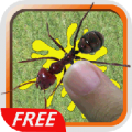 Smash And Kill Ants Bugs Free thumbnail