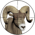 Sniper Hunting-3D Shooter thumbnail