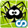 Spider Web thumbnail
