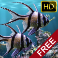 The real aquarium - HD thumbnail