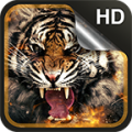 Tiger Live Wallpaper HD thumbnail