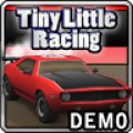 TL Racing Demo thumbnail