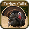 Turkey Hunting Calls thumbnail