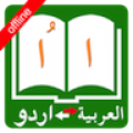 Urdu Arabic Dictionary thumbnail