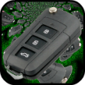 Virtual Car Key Remote thumbnail