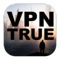 VPN TRUE thumbnail