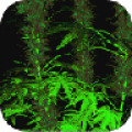 Weed 3D Live Wallaper thumbnail