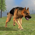 Wild Dog Survival Simulator thumbnail