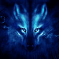 Wolf night thumbnail