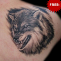 Wolf Tattoo thumbnail