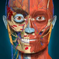 3D Anatomy Learning thumbnail