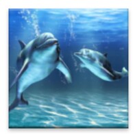 3D dolphin HD live wallpaper thumbnail