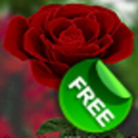 3D Rose Live Wallpaper Free thumbnail