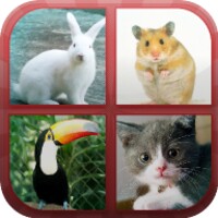 Animals Quiz thumbnail