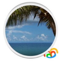 Beach Palm Tree Live Wallpaper thumbnail