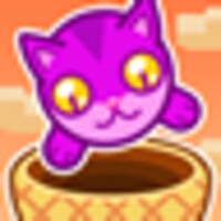 Cat Basket thumbnail