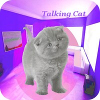 Cat Talking thumbnail