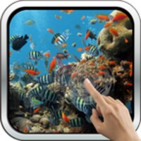 Colorful Tropical Fishes thumbnail