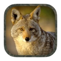 Coyote Hunting Calls thumbnail