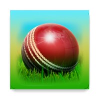 Cricket 3D thumbnail