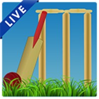 Cricket Buzz thumbnail