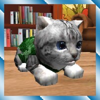 Cute Pocket Cat 3D thumbnail