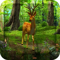 Dawn Forest 3D thumbnail