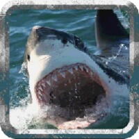 Deadly Shark: Marine Simulator thumbnail