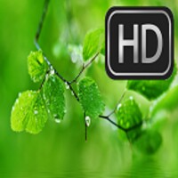 Huawei Wallpapers HD thumbnail
