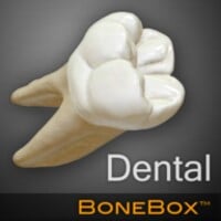 Dental - Lite thumbnail
