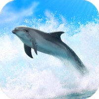 Dolphins 3D thumbnail