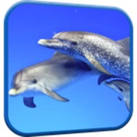Dolphins Video Live Wallpaper thumbnail