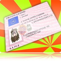 Fake Driver License Generator thumbnail