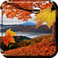 Falling Leaves Live Wallpaper thumbnail