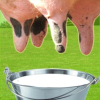 Farm Milk The Cow thumbnail