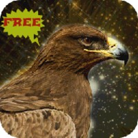 Golden Eagle Bird Simulator thumbnail