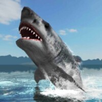 Great White Shark Survival thumbnail