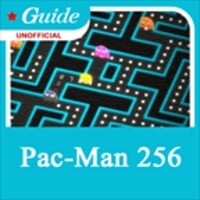 Guide for Pac Man 256 thumbnail