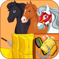 Horse Grooming Salon thumbnail