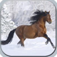 Horses in winter thumbnail