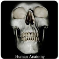 Human Anatomy (Spotting) thumbnail