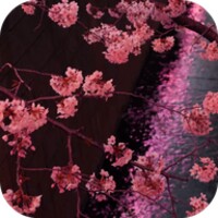 Japanese Sakura Garden thumbnail