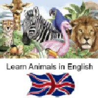 Learn Animal Names in English thumbnail