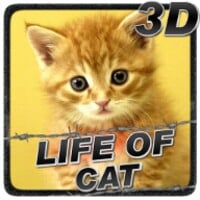 Life Of Cat thumbnail