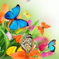 Butterfly Live Wallpaper thumbnail