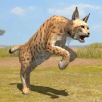 Lynx Survival thumbnail