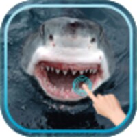 Magic Touch Shark Attack thumbnail
