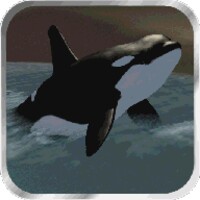 Orca Simulator thumbnail