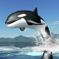 Orca Survival Simulator thumbnail